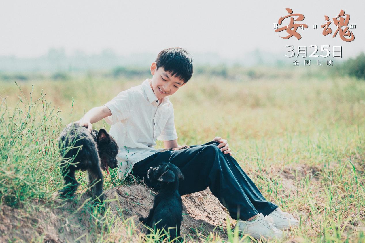剧照1