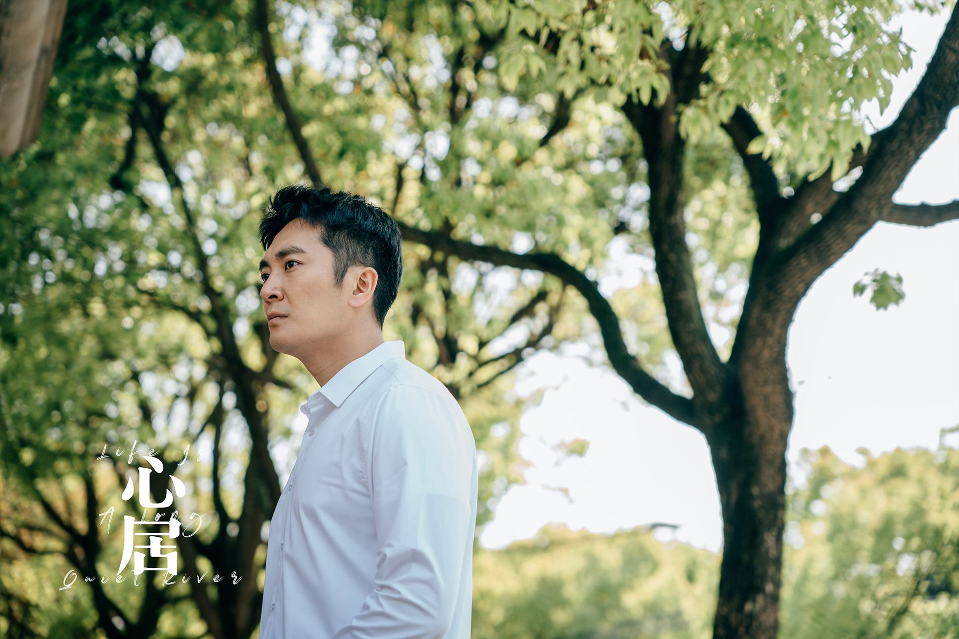 《心居》热播 陆思宇再现爆款 (4).jpg 《心居》热播 陆思宇再现爆款 (4).jpg